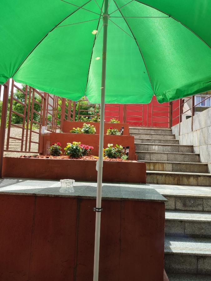 Apartament Garsoniera Alex Kluż-Napoka Zewnętrze zdjęcie