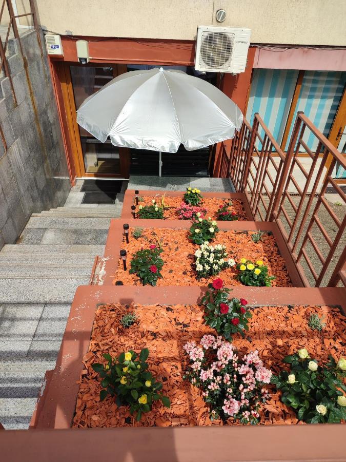 Apartament Garsoniera Alex Kluż-Napoka Zewnętrze zdjęcie