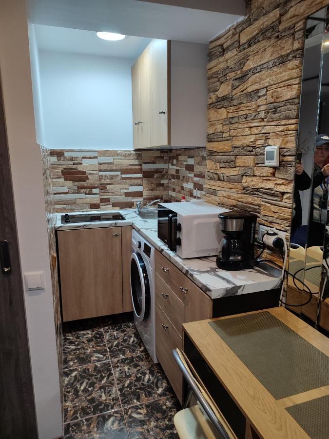 Apartament Garsoniera Alex Kluż-Napoka Zewnętrze zdjęcie